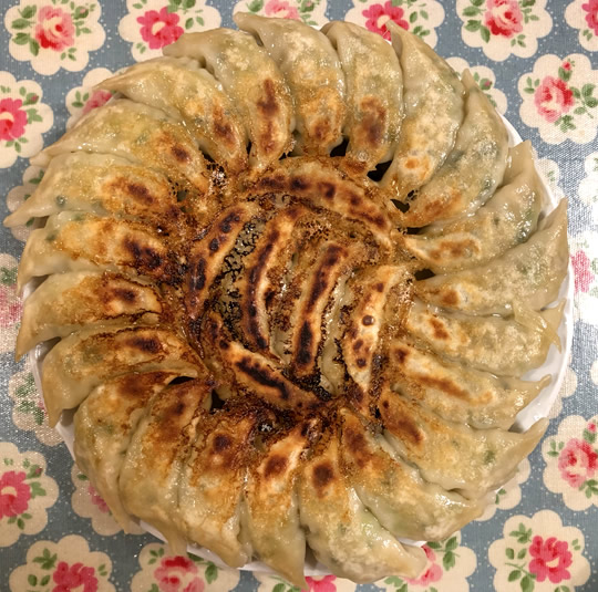 浜松餃子の五味八珍